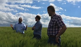 Business integration 